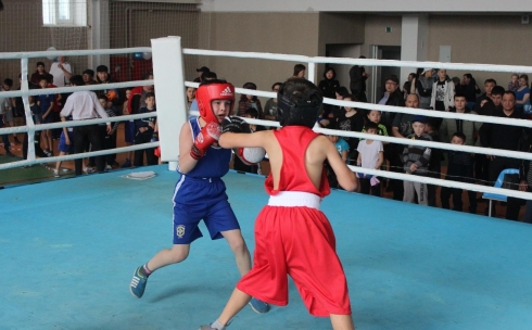 В Караганде проходит чемпионат по боксу среди детей