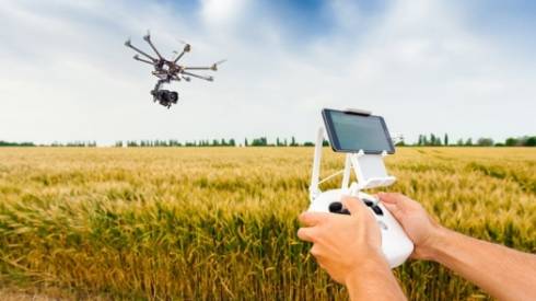 С помощью дронов планируется обрабатывать поля от саранчи в Казахстане