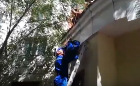 В Караганде спасатели спустили с крыши пристройки упавшего ребенка