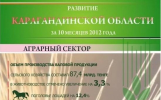 ИНФОГРАФИКА: Развитие Карагандинской области за 10 мес 2012 года