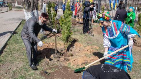 Весенняя посадка деревьев продолжается в Карагандинской области