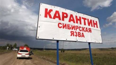 Вспышки сибирской язвы в Казахстане произошли из-за некачественных вакцин
