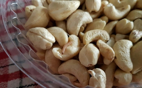 В карагандинском супермаркете покупателям продали орешки с червями