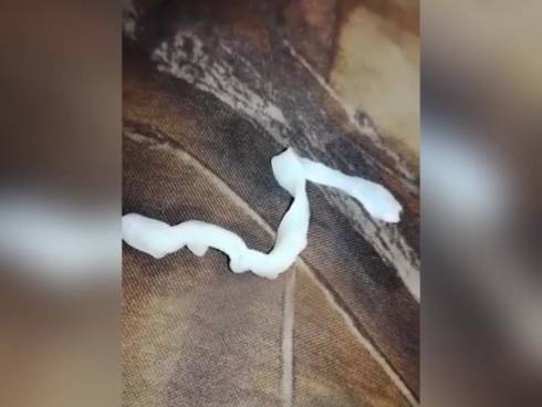 Фото червя из водопровода стало причиной иска коммунальщиков в Караганде