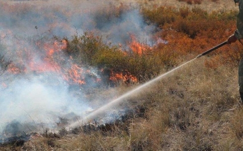 В Карагандинской области потушили крупный степной пожар