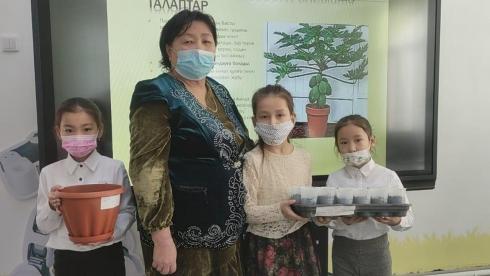 Папайя теперь растёт и в Жезказгане: Школьники разработали и презентовали интересные проекты
