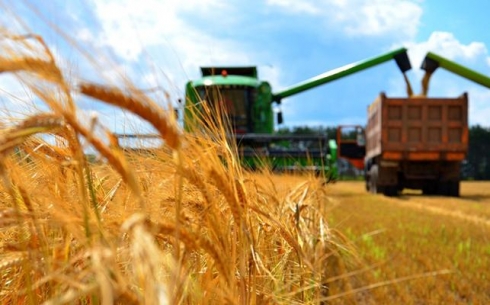 Господдержка фермерам и новые производства: как будет развиваться агропромышленный комплекс в Карагандинской области