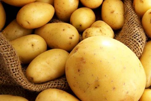 Министр сельского хозяйства предложил и для картофеля установить предельные цены