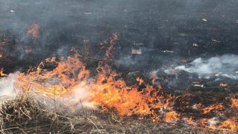 Степные пожары бушуют в Карагандинской области: есть пострадавшие