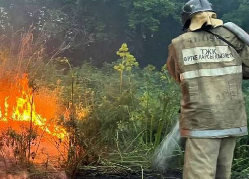 Работников лесной противопожарной службы переведут в штат природоохранных учреждений