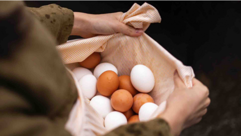 Импорт яиц могут ограничить в Казахстане