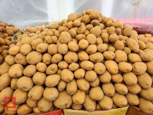 Замглавы Минсельхоза РК объяснила рост цен на картофель