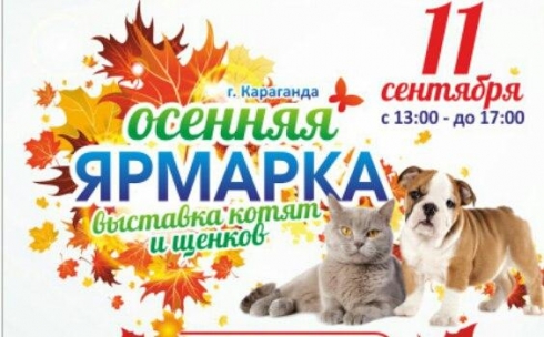 В Караганде пройдет осенняя ярмарка-выставка кошек, котят и щенков