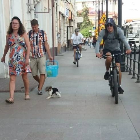 Карагандинцы в Томске: сравнительное собаковедение