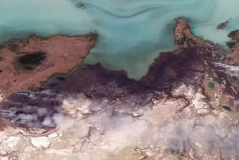 Казахстанские спутники зафиксировали площадь пожара на берегу озера Балхаш