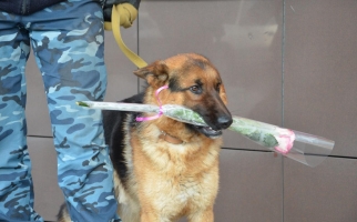 В Караганде служебно-розыскная собака подарила женщинам цветы