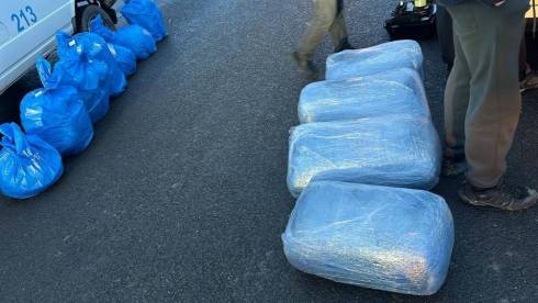 146 кг марихуаны и 94 кг гашиша изъяли у наркодиллеров полицейские Караганды
