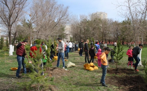 В Караганде прошла акция «Посади дерево»