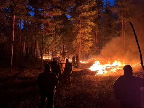 Искусственный интеллект будет выявлять лесные пожары в Казахстане