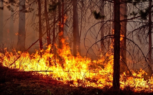 Итоги пожароопасного сезона в Карагандинской области