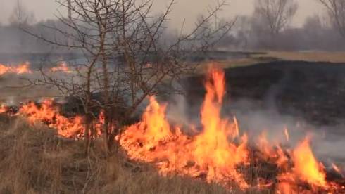 В Карагандинской области продолжается пожароопасный период