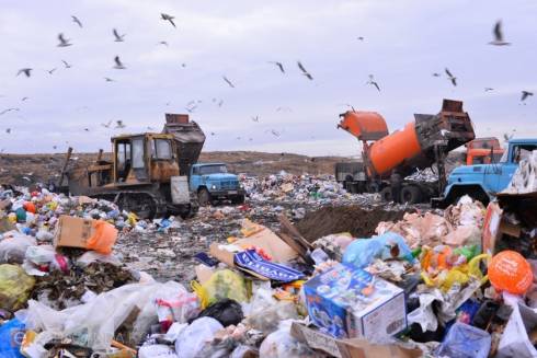 Большинство мусорных полигонов в Карагандинской области являются типичными свалками – депутат