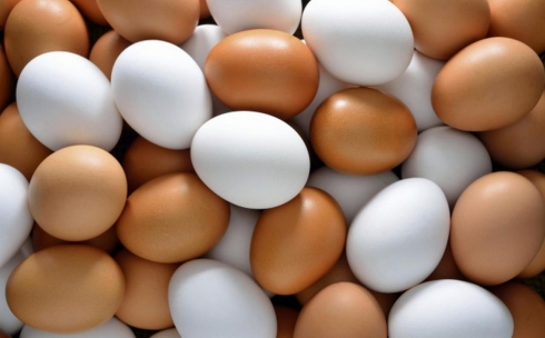 Карагандинская область занимает 3-е место в республике по производству яиц куриных