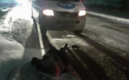 На трассе Караганды насмерть сбили пешехода: личность мужчины ещё не установлена