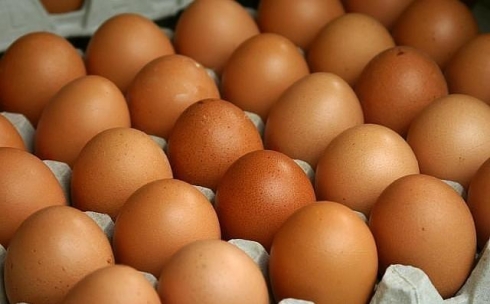 В Караганде экологи обнаружили, что куриные яйца содержат опасные химические вещества