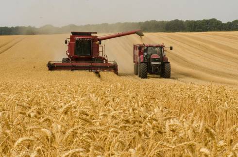 В Казахстане подвели итоги первого полугодия по развитию сельского хозяйства