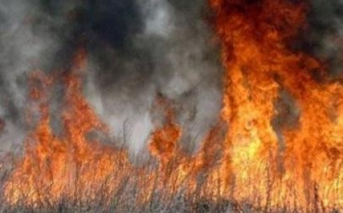 В Карагандинской области 10 часов борются с обширным степным пожаром