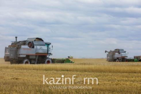 В Казахстане убрано 85,7 % уборочной площади зерновых и зернобобовых культур
