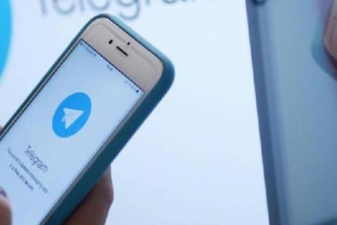 Как подать заявление на социальную выплату через Telegram-бот