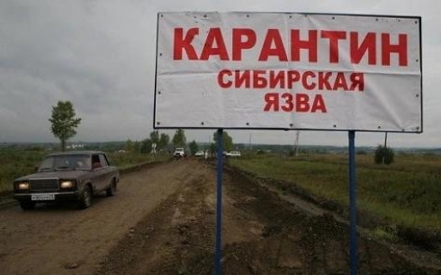 Возникновение сибирской язвы в Шетском районе не связано со случаями в Восточно-Казахстанской области 