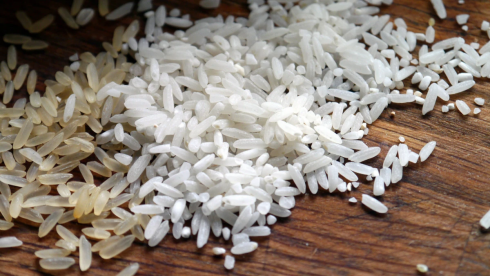 Посевы влагоёмких риса и хлопка сократят в Казахстане