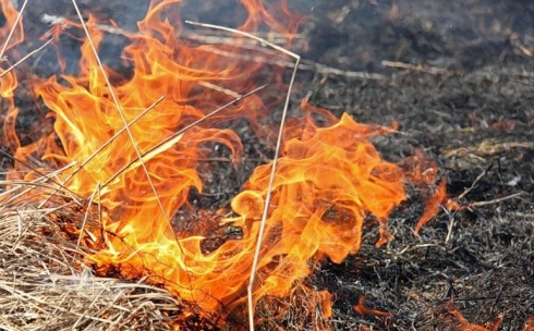 Из-за сжигания сухой травы в Карагандинской области произошло 19 пожаров