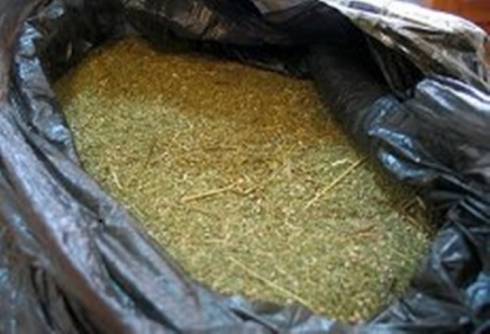 Более 6 кг марихуаны изъяли у пассажира поезда «Караганда-Костанай»