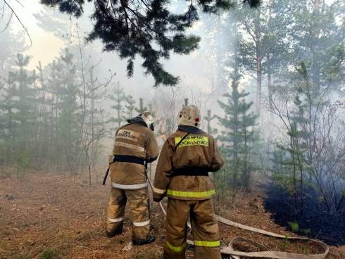 Пожар в лесопосадке Караганды распространился на 4,5 га