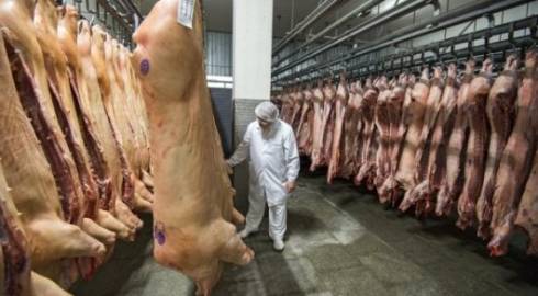 Казахстан закрыл поставки свинины из Омской области из-за вспышки африканской чумы