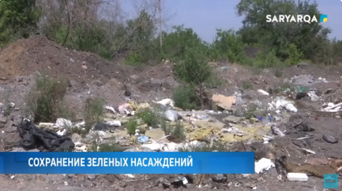 Сохранение зеленых насаждений и благоустройство территорий обсудили депутаты Карагандинского городского маслихата