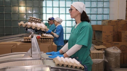 В Карагандинской области увеличат производство яиц