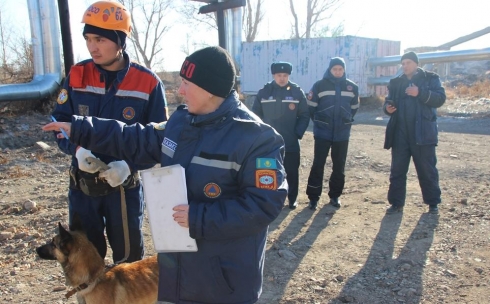Собаки-спасатели проходят сертификационные испытания в Приозерске