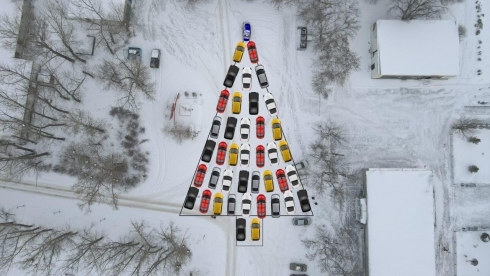 Автоёлка: В Сортировке зажгли необычное новогоднее дерево