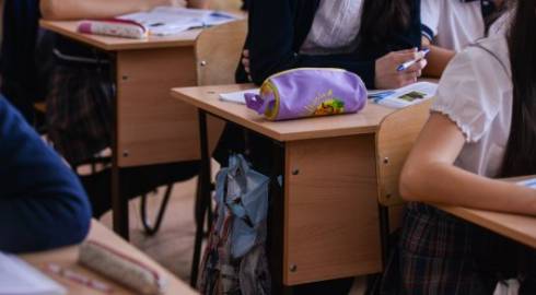 В казахстанских школах может появиться новая должность