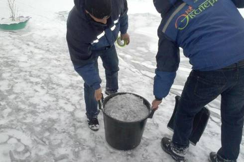 Независимые экологи исследуют черный снег в Темиртау