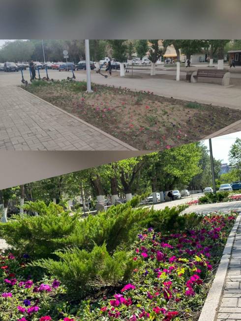 Цветы начали досаживать на клумбах и в парках в центре Караганды