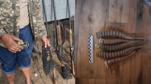 Рога сайги и огнестрельное оружие изъяли у сельчанина в Карагандинской области