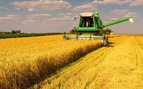 Карагандинцев призывают сообщать о нарушениях при субсидировании сельского хозяйства