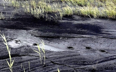 Убрать за собой: карагандинская речка загрязняется промышленными стоками