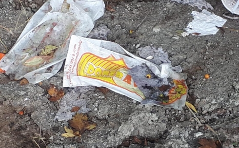 В Караганде пытаются понять, кто выбросил использованные бумажные пакеты от донеров в Центральный парк